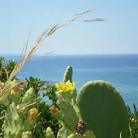 Casa Dolce Casa Patù